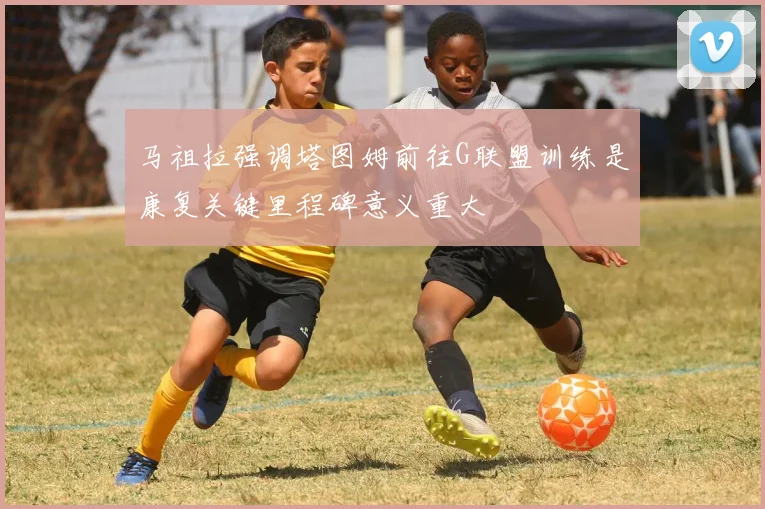 马祖拉强调塔图姆前往G联盟训练是康复关键里程碑意义重大