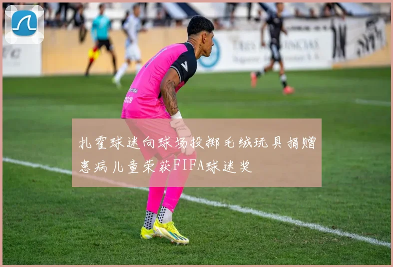 扎霍球迷向球场投掷毛绒玩具捐赠患病儿童荣获FIFA球迷奖