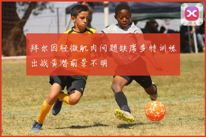 拜尔因轻微肌肉问题缺席多特训练出战黄潜前景不明