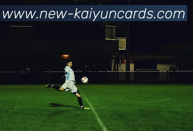 开云棋牌官网APP 封面图